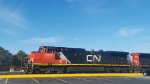 CN 2576